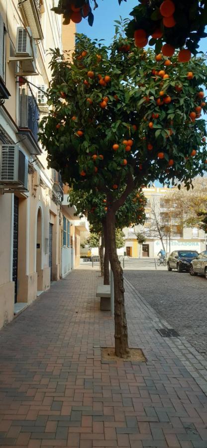 Golondrina Appartement Córdoba Buitenkant foto
